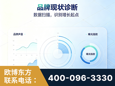 新泰-品牌现状诊断