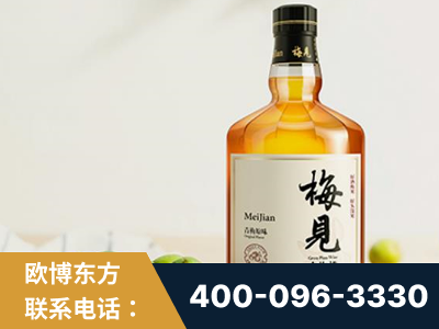 新泰-梅见青梅酒